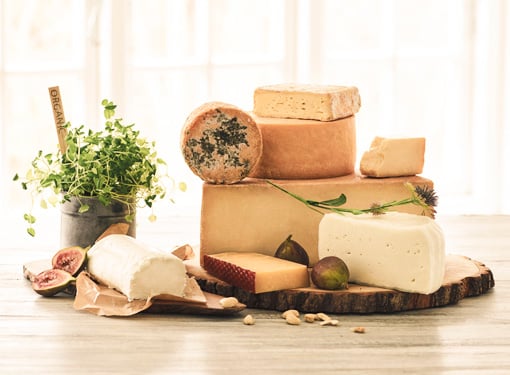 Osteudvalg med forskellige slags ost, frisk urter i potte og skiver på træ